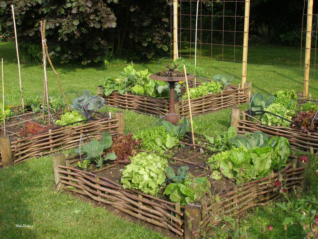Gite Des Hortillonnages Camon  Екстериор снимка